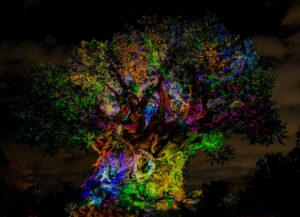 Tree of Life, l'icône Disney's Animal Kingdom, Orlando en Floride.