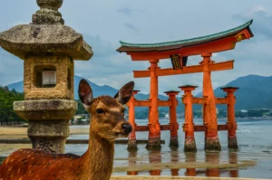 Le célébre tori de Itsukushima à Miyajima