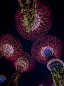 Contre-plongée nocturne sur les structures métalliques géantes en forme d'arbres (Supertrees) illuminées de rose et de violet à Gardens by the Bay, Singapour.